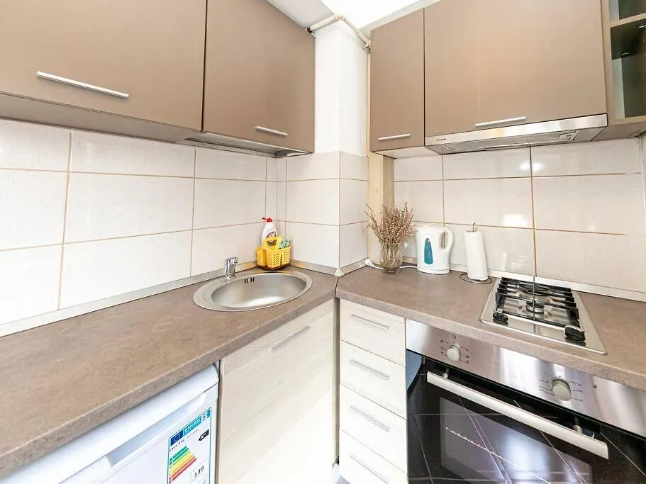 Central Studio Bucur Bucarest Appartamento